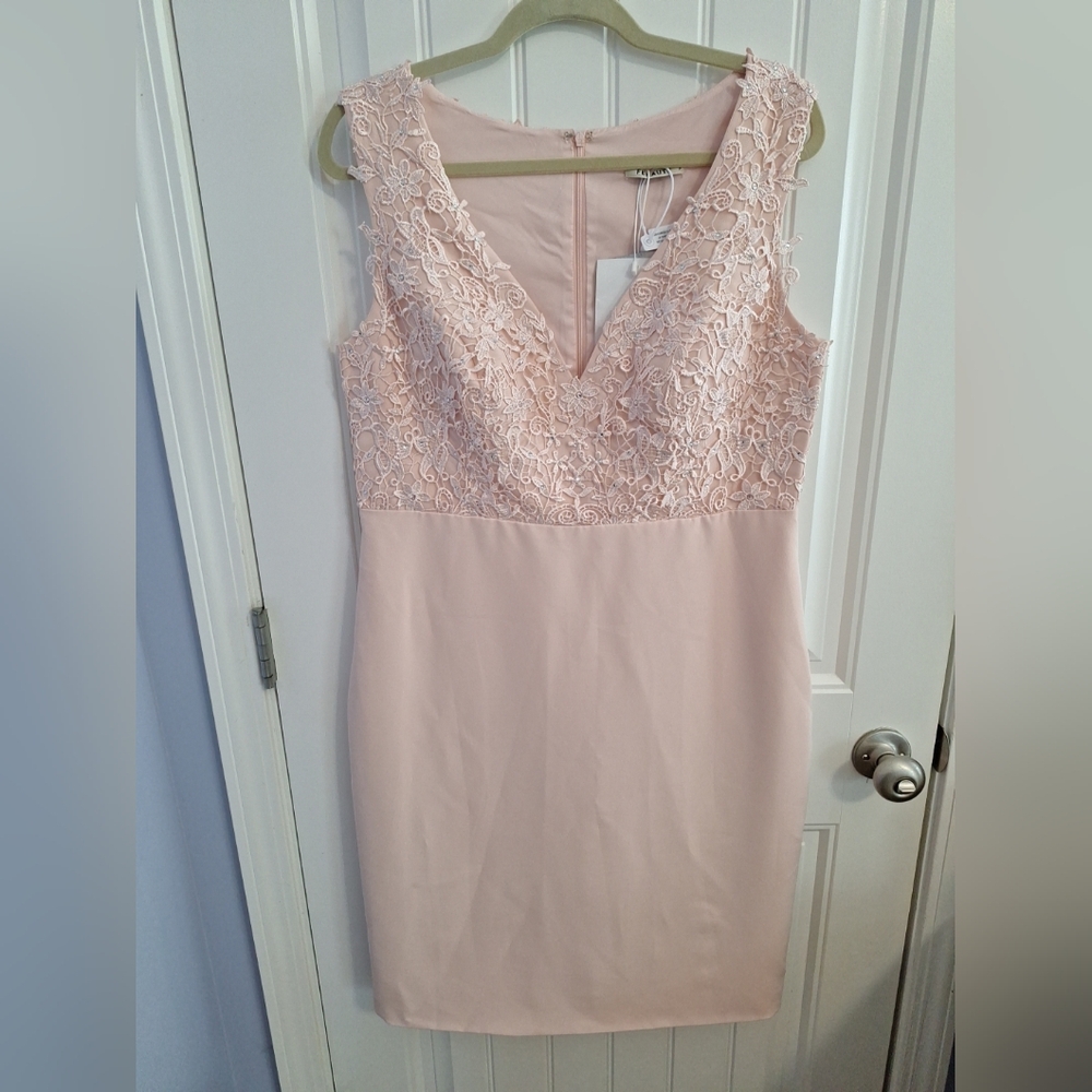 Fehaute Pink Lace And Rhinestone Sleeveless Sheath Dress Size 14 Wedding Formal
